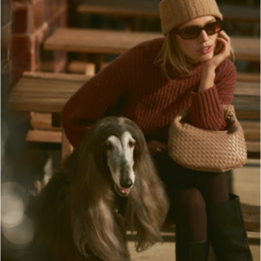 NWT Anthropologie Brigitte Satchel